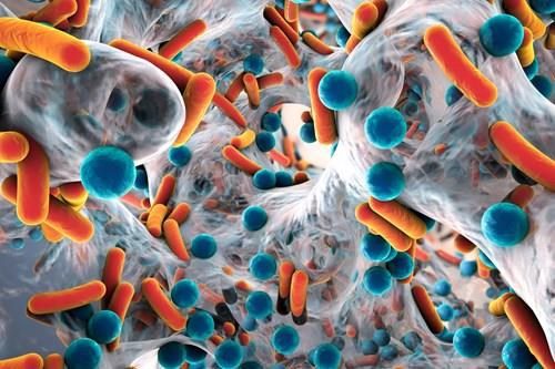 Quando si diventa resistenti agli antibiotici?
