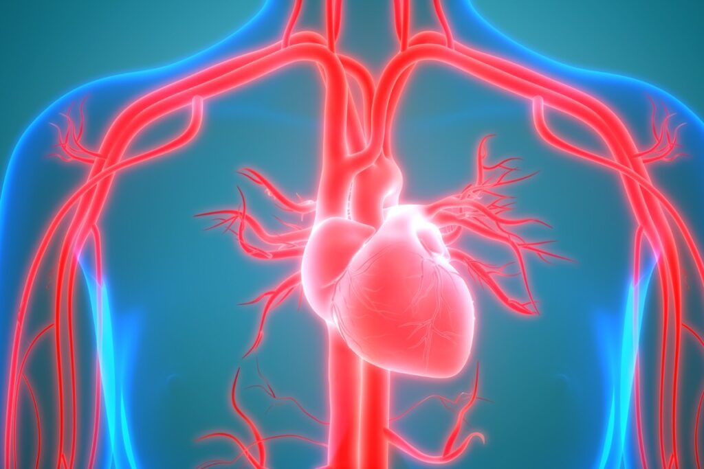 Come si liberano le arterie ostruite?