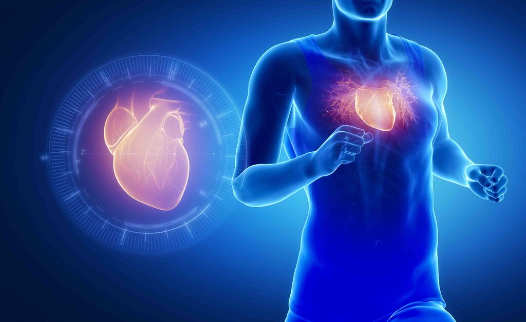Quale organo fa bene camminare?