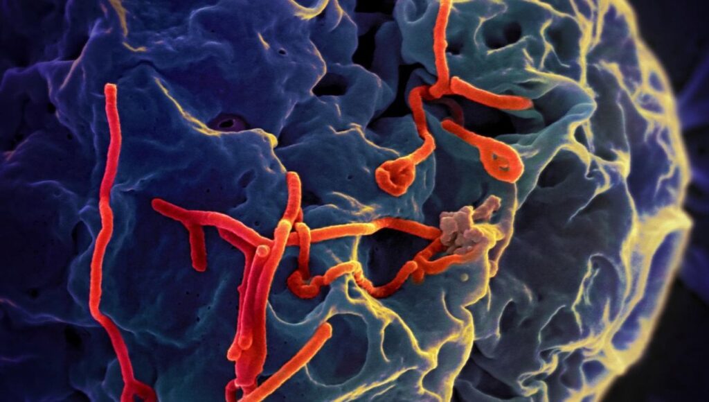 Cos'è un cluster epidemico?