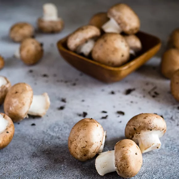 Funghi e benefici sulla memoria