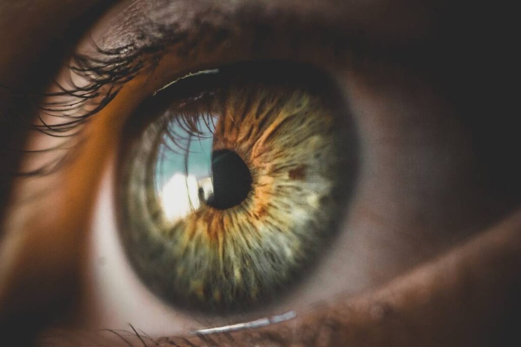 Prevenzione dell'Ictus Retinico
