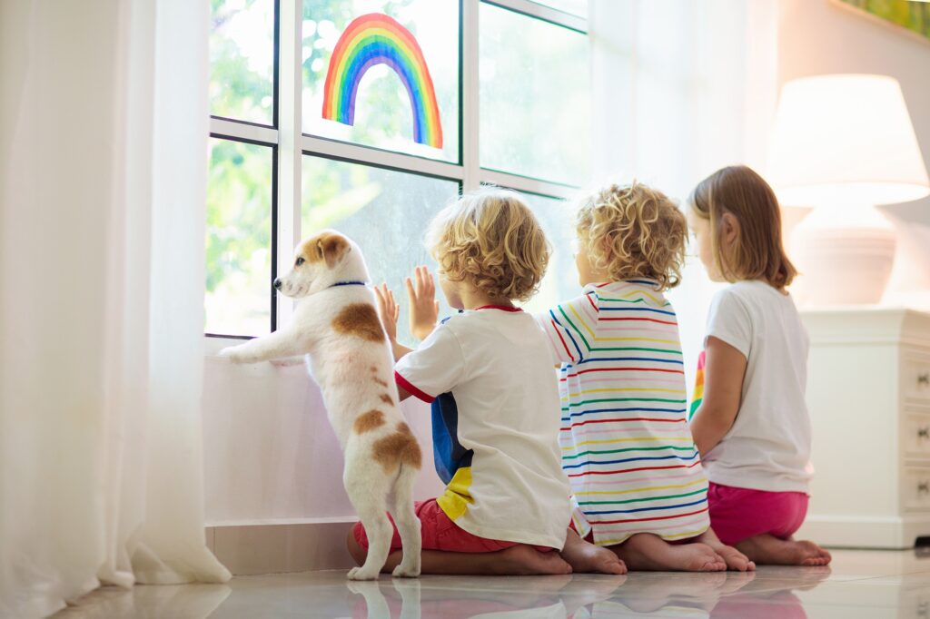 Igiene e animali domestici