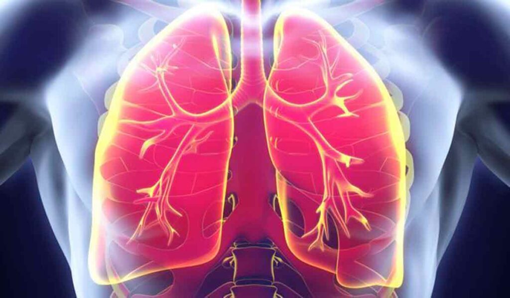 Quali sono le principali malattie respiratorie?