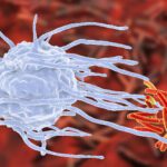Uova e risposta immunitaria