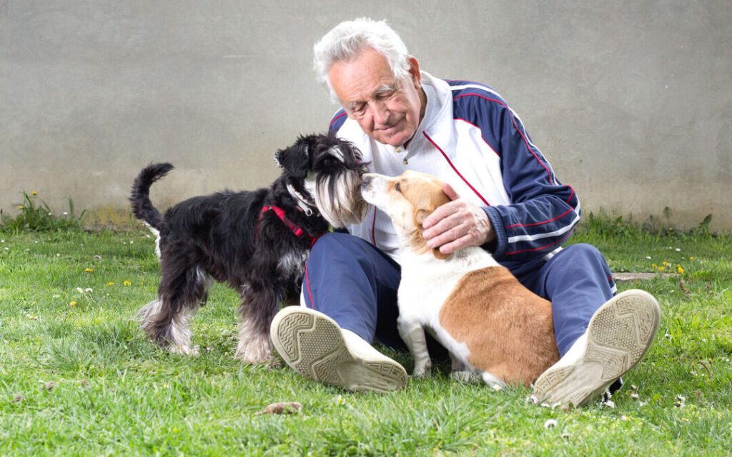 Animali domestici e miglioramento della salute