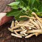 Ashwagandha e i suoi benefici per il corpo