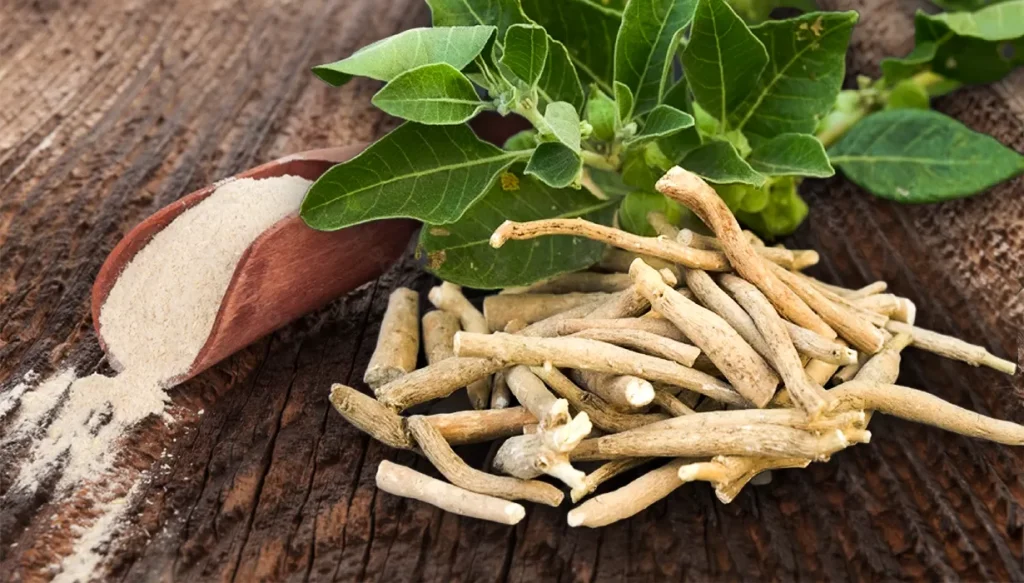 Ashwagandha e i suoi benefici per il corpo