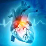 Effetti dell'Invecchiamento sul Cuore