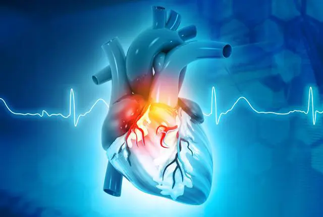 Effetti dell'Invecchiamento sul Cuore