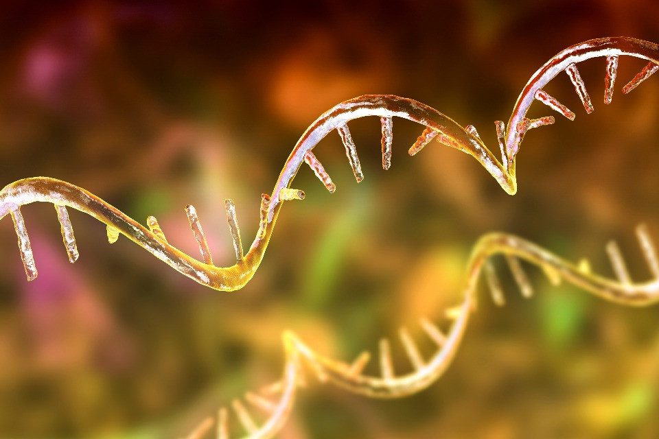 Implicazioni Genetiche dell'Ipertensione