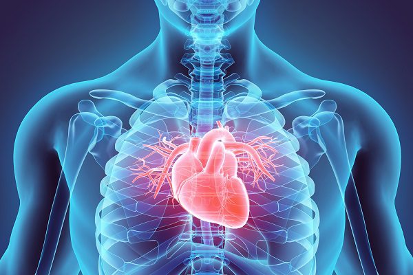 Interventi minimamente invasivi per il cuore
