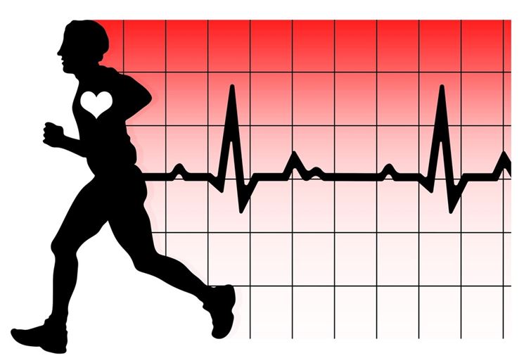 Frequenza cardiaca e fitness