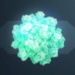 Norovirus incubazione