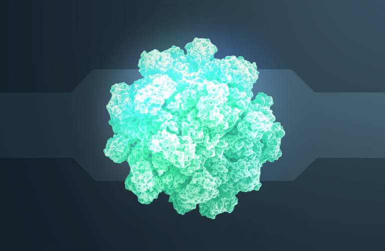 Norovirus incubazione
