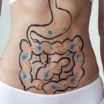 Ruolo dei Probiotici nella Salute Digestiva