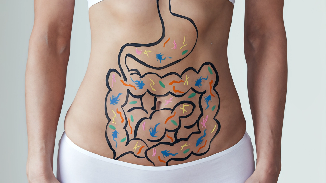 Probiotici e salute intestinale: come i microrganismi favoriscono la digestione