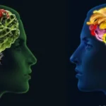 Alimentazione e Salute Mentale