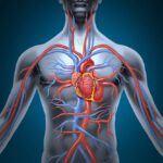Impatto del Colesterolo sulla Salute Vascolare
