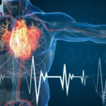 Gestione dello Stress per Proteggere il Cuore