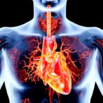 Malattie valvolari cardiache