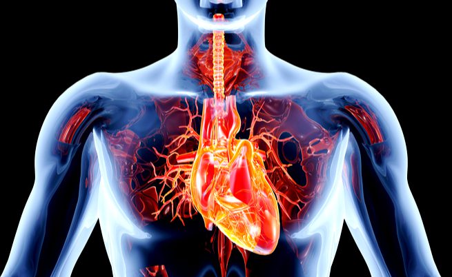 Malattie valvolari cardiache