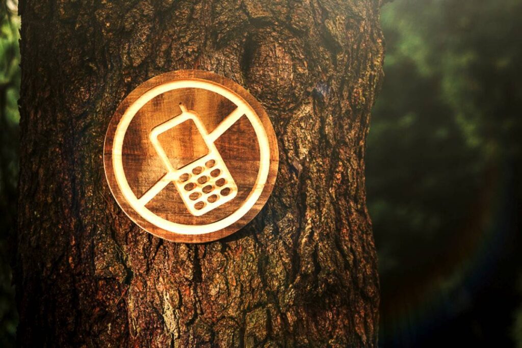 Detox Digitale
