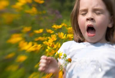 Collegamento tra Allergie e Autismo