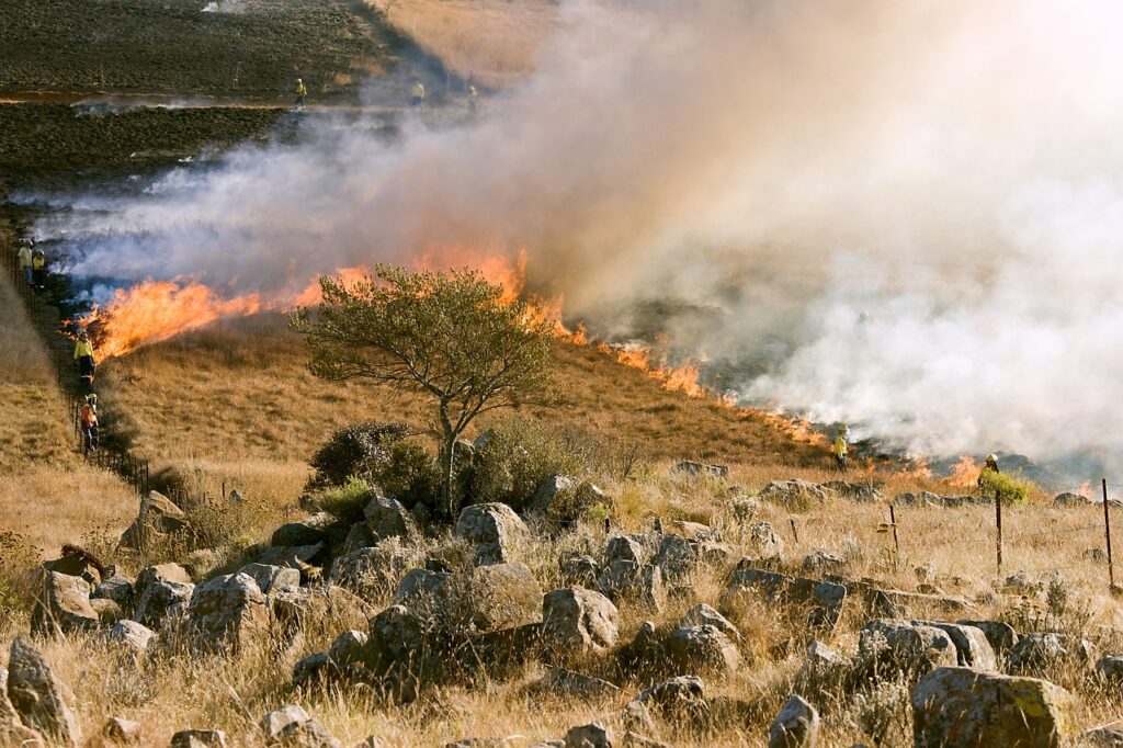 Effetti degli incendi boschivi sul suolo forestale.