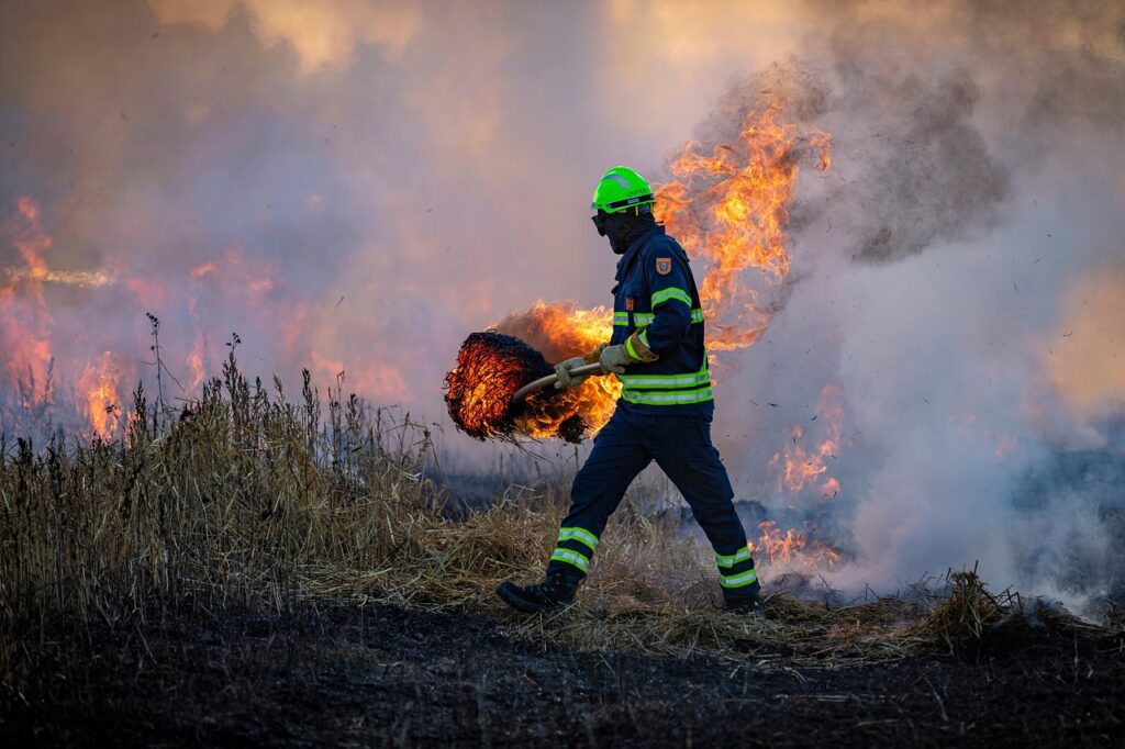Gli incendi innescano un circolo vizioso, dalla distruzione della vegetazione all'aumento di erosione del suolo.