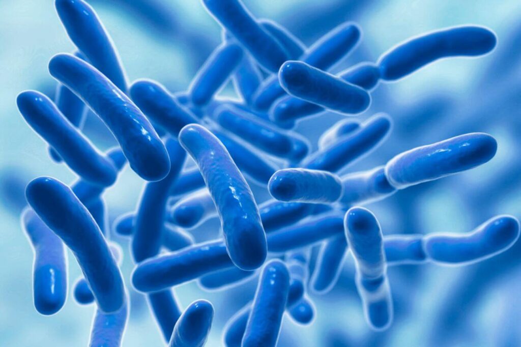 Influenza del consumo regolare di probiotici sulla salute