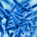 Influenza del consumo regolare di probiotici sulla salute