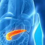 Alimenti utili per la salute del pancreas