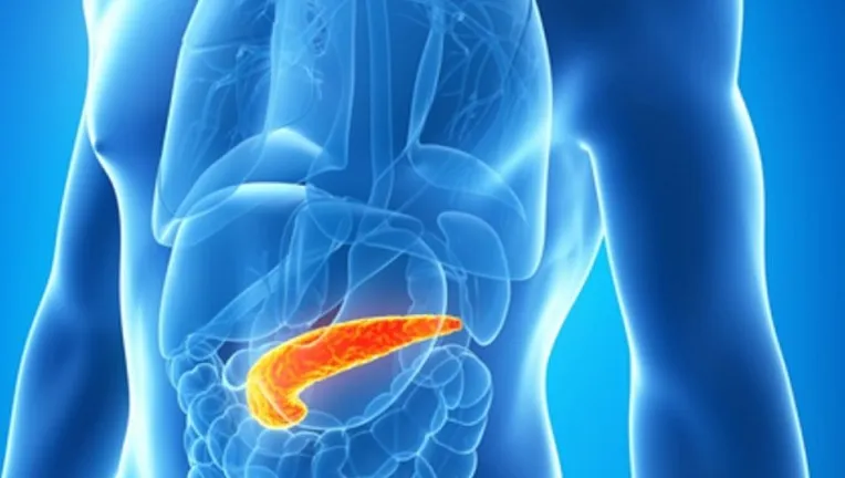 Alimenti utili per la salute del pancreas