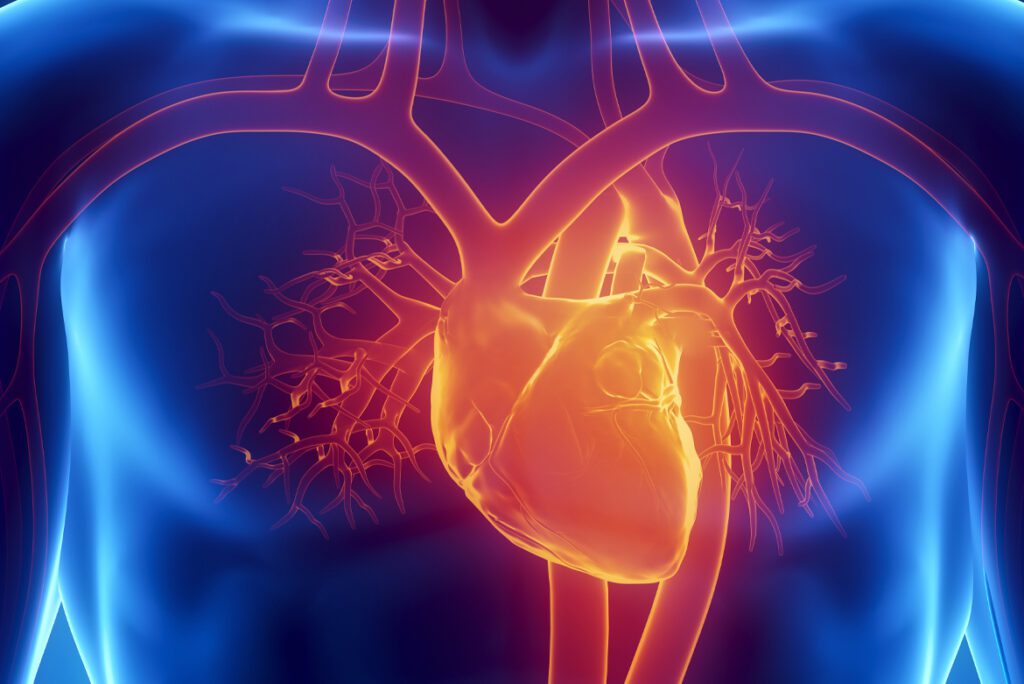Consigli per Mantenere la Salute Cardiovascolare