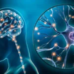 Mantenere il cervello sempre attivo