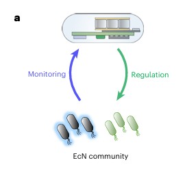  Esempio di funzionamento del device, che pu&ograve; essere integrato con tecnologia quantistica