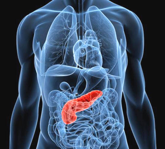 Rischi che aumentano il tumore al pancreas - Microbiologia Italia