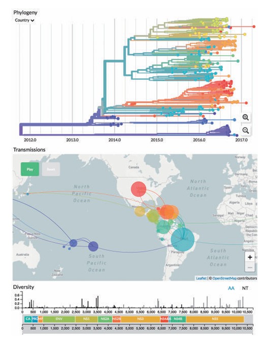 Correlazione filogenesi molecolare virus virus Zika e come questo si sia diffuso nelle varie aree geografiche. Dati ottenuti grazie alla biologia biocomputazionale