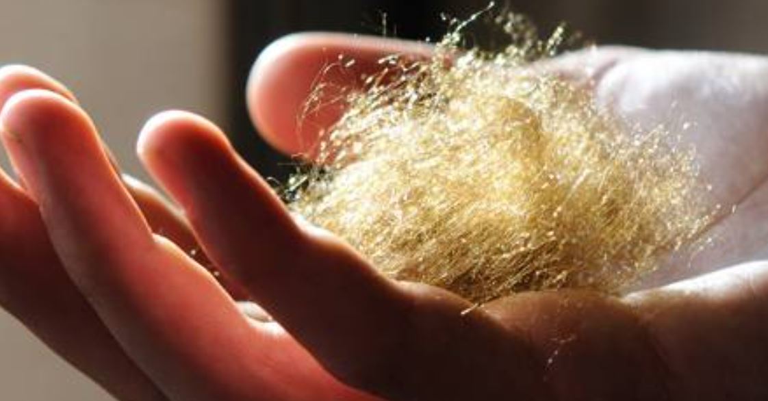 Figura 1 - Mentre la tradizione millenaria del bisso (in foto) rischia di scomparire, oggi un batterio minaccia Pinna nobilis e la sua stessa sopravvivenza nel Mediterraneo. [Fonte: Pixabay.com]