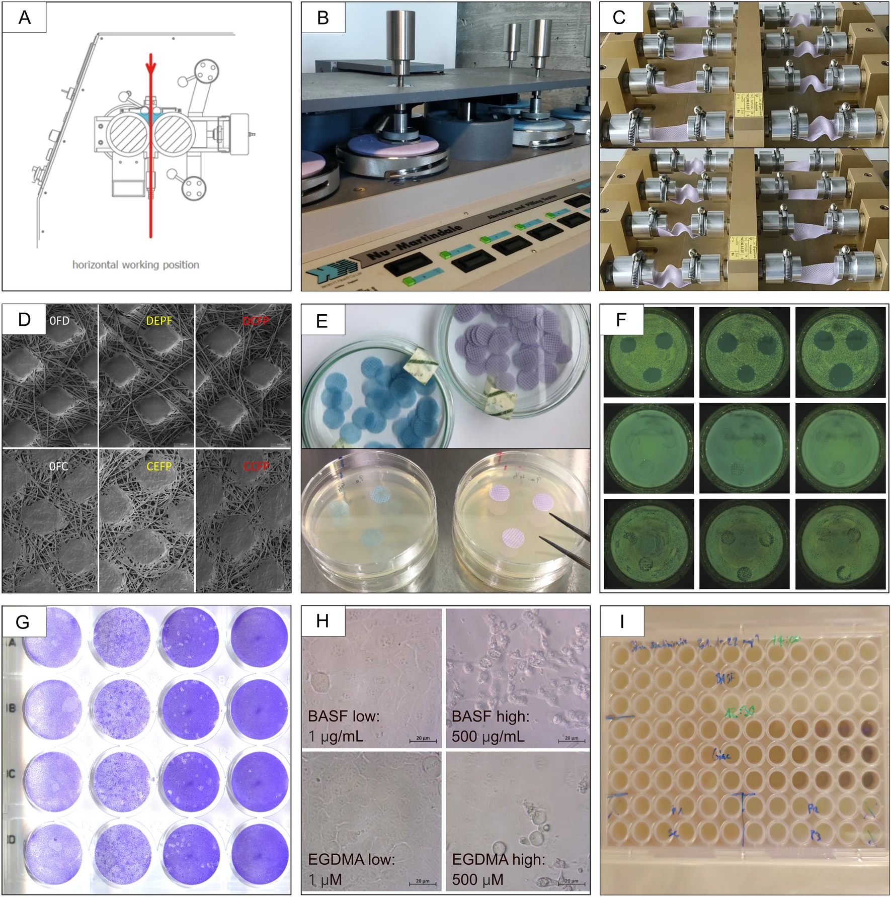 microbiologia dei tessuti crescita microbica su fibre tessili