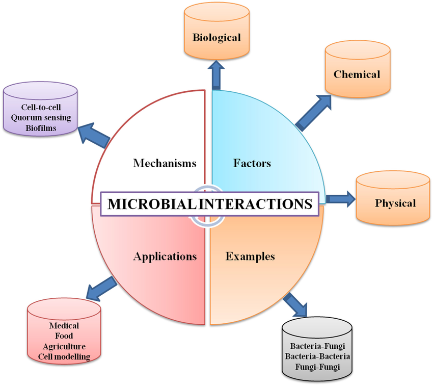 ecologia dei microrganismi e interazioni tra comunit&agrave; microbiche