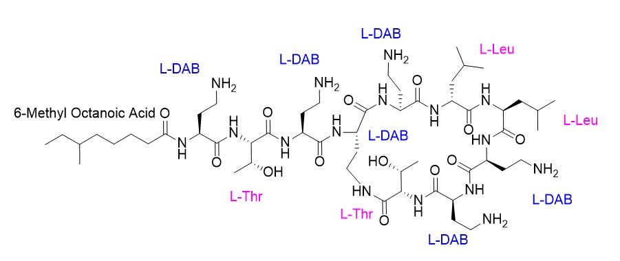 Struttura chimica della Polimixina E