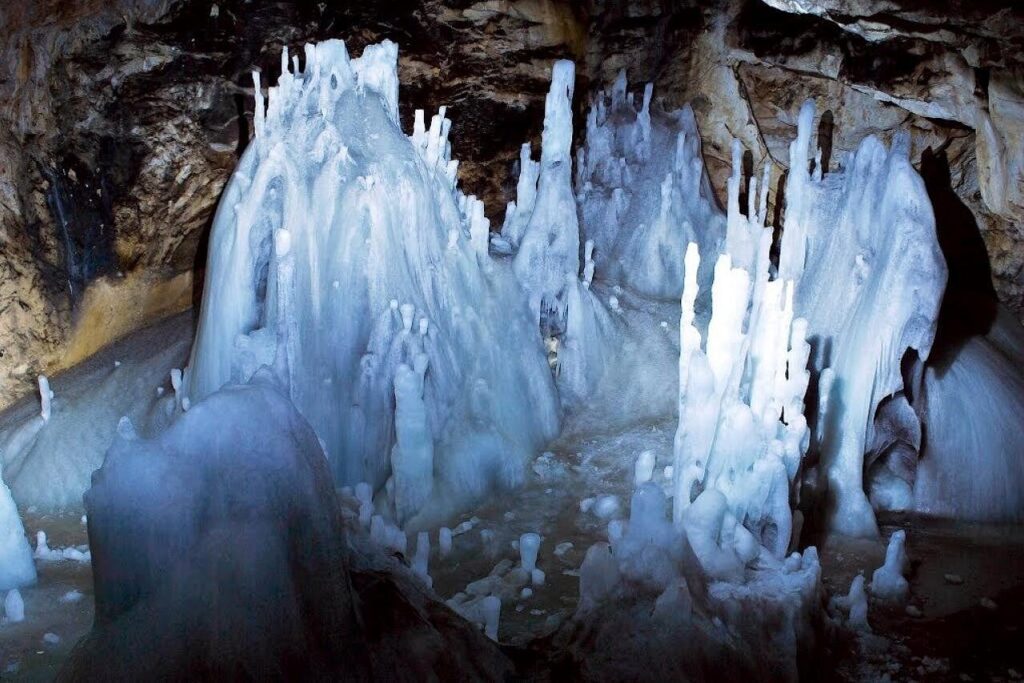 Formazioni di ghiaccio nella Grotta di Scărișoara, uno dei più grandi ghiacciai sotterranei d’Europa, habitat del batterio Psychrobacter