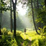 Camminate nella natura salute mentale