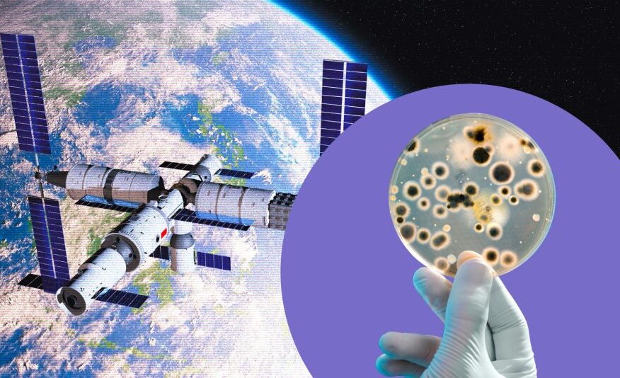 Niallia tiangongensis