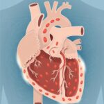 Le Abitudini Quotidiane che Mantengono il Cuore Giovane per Sempre