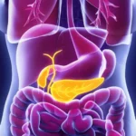 Come migliorare la salute pancreatica senza fatica