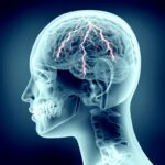 Cosa succede a livello cerebrale nel momento della morte