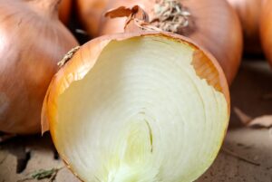 come capire se la cipolla è fresca